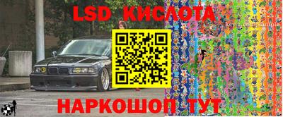 тгк Новозыбков