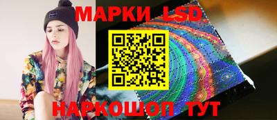 тгк Новозыбков