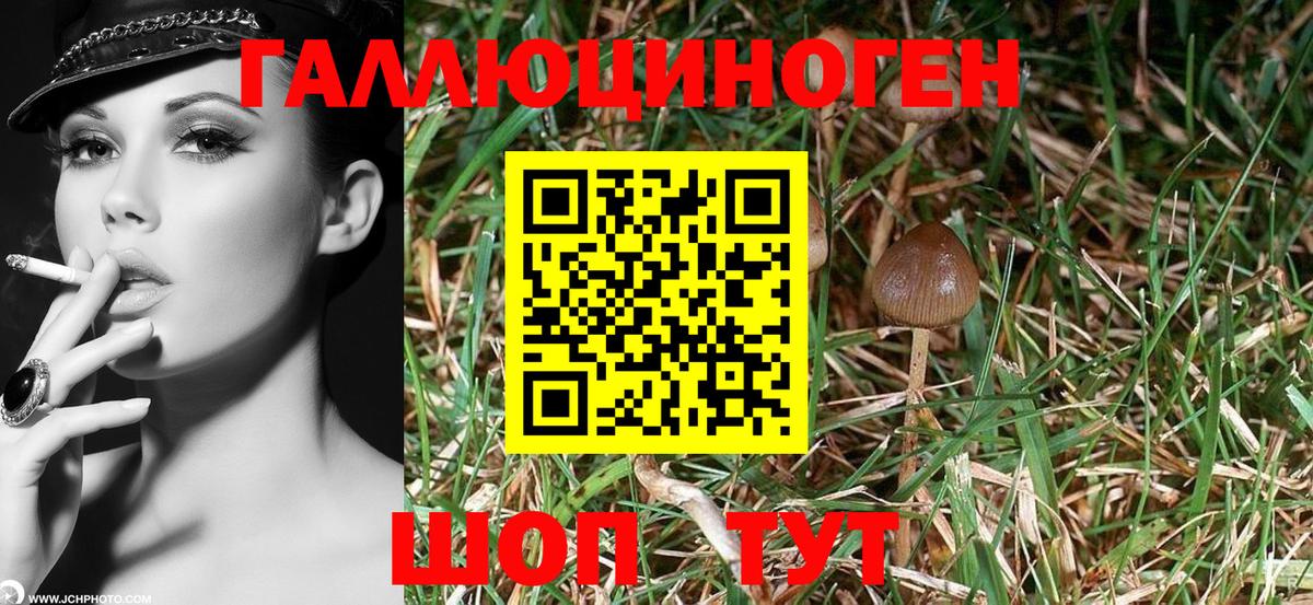 Псилоцибиновые грибы MAGIC MUSHROOMS  Вход с VPN  Родники 
