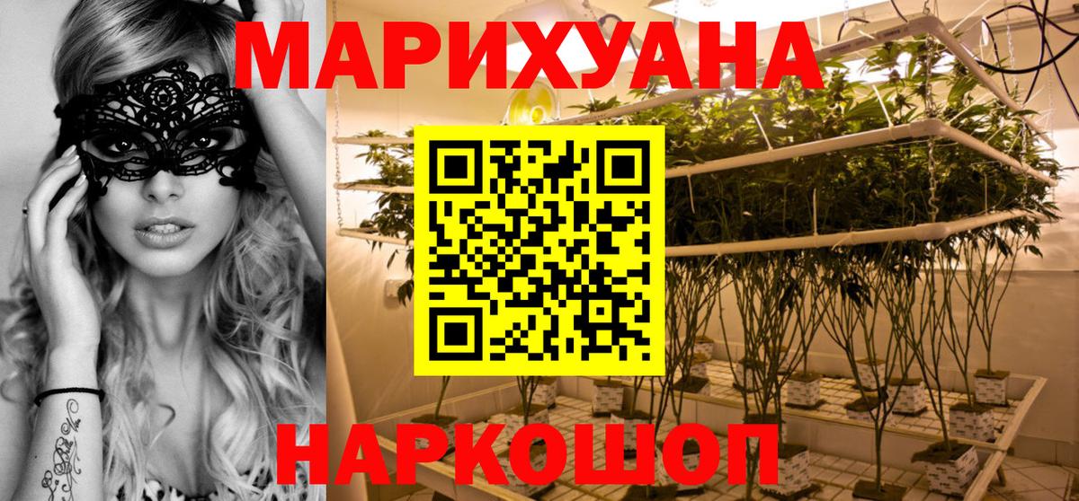 Бошки Шишки планчик Родники
